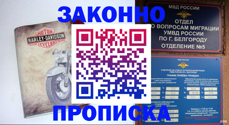 прописка для школы в Шарыпово